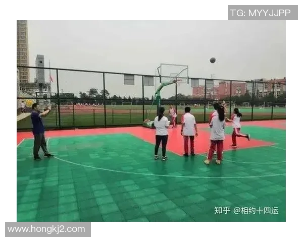 排球耐力实力榜单权威发布揭示各队伍真实实力与潜力分析